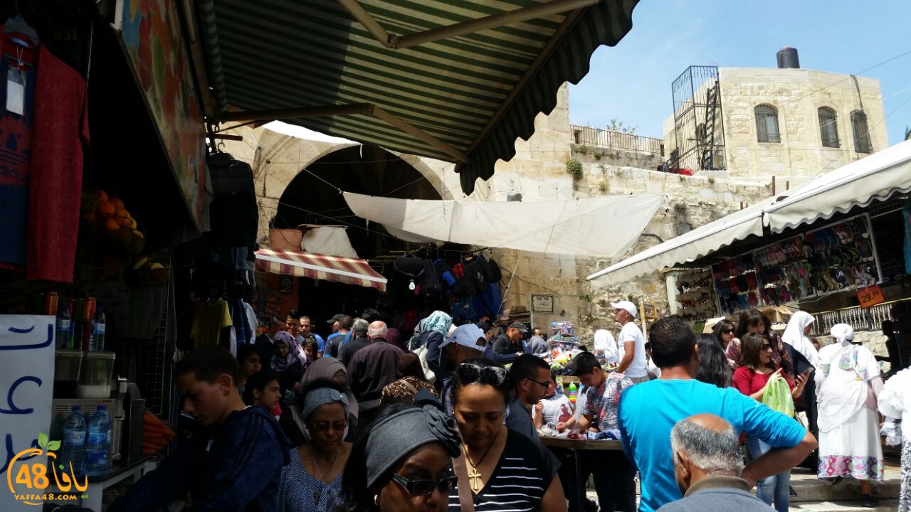 a7bab al aqsaa (6).jpg